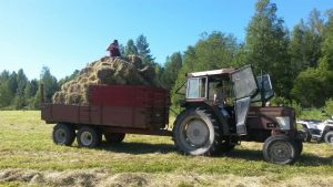 Pipsa Wagner luomutilallaan Purola Farmilla