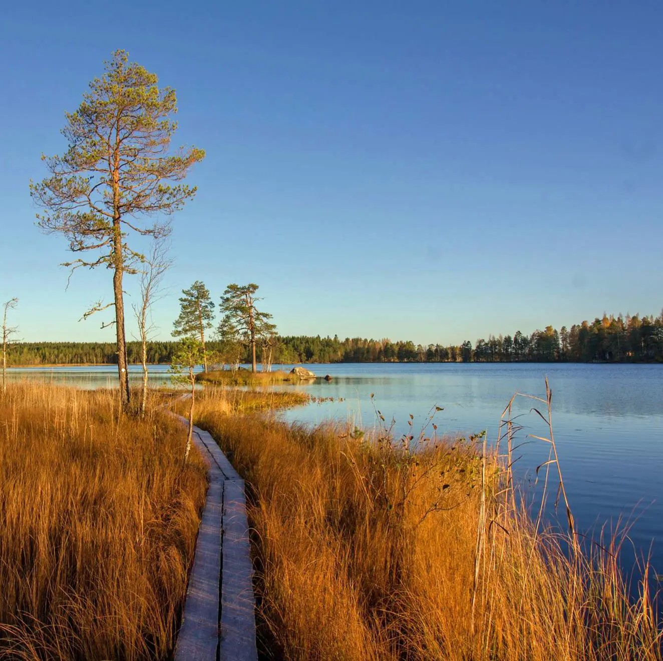 El v n Kulttuurin Ja Vihre n Siirtym n Keski Pohjanmaa Landen Kaiku