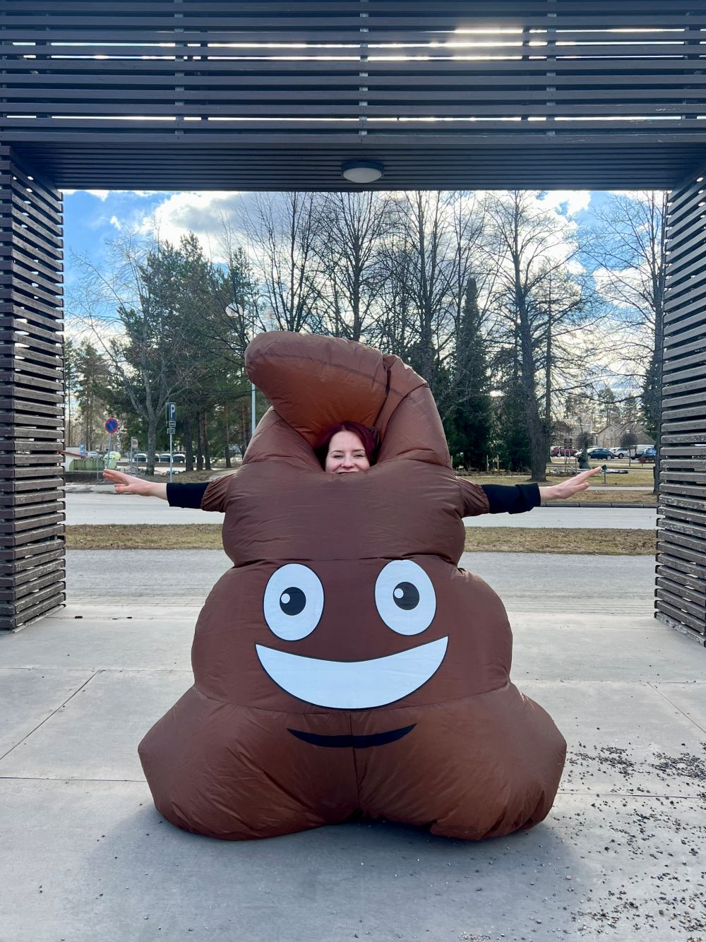 Kakkakarnevaalit, Lemmikkiystävällinen Saarijärvi -hanke
