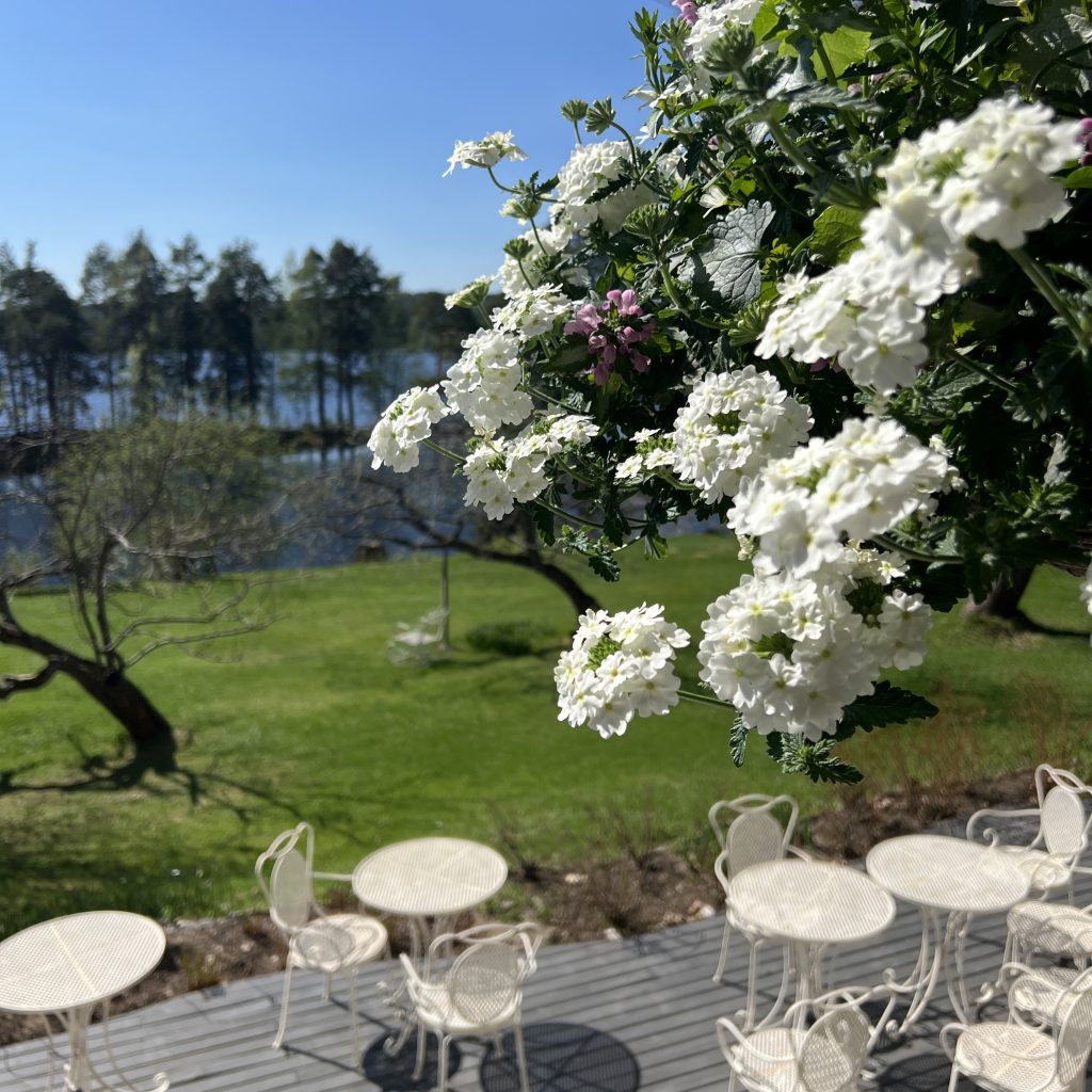 Saarijärven Ruustinnan terassi järvenrannalla valkoisten kukka-amppeleiden katveessa.