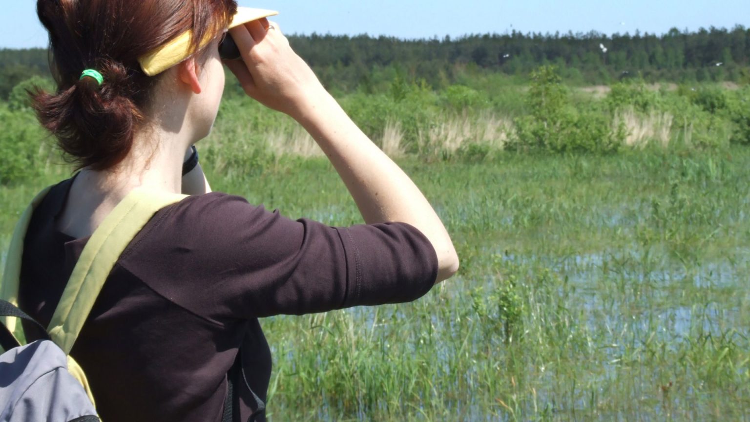 Nuori nainen katsomassa kiikareilla niityllä