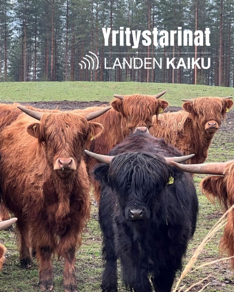 Instagram post from landenkaiku. This post is in position 10.